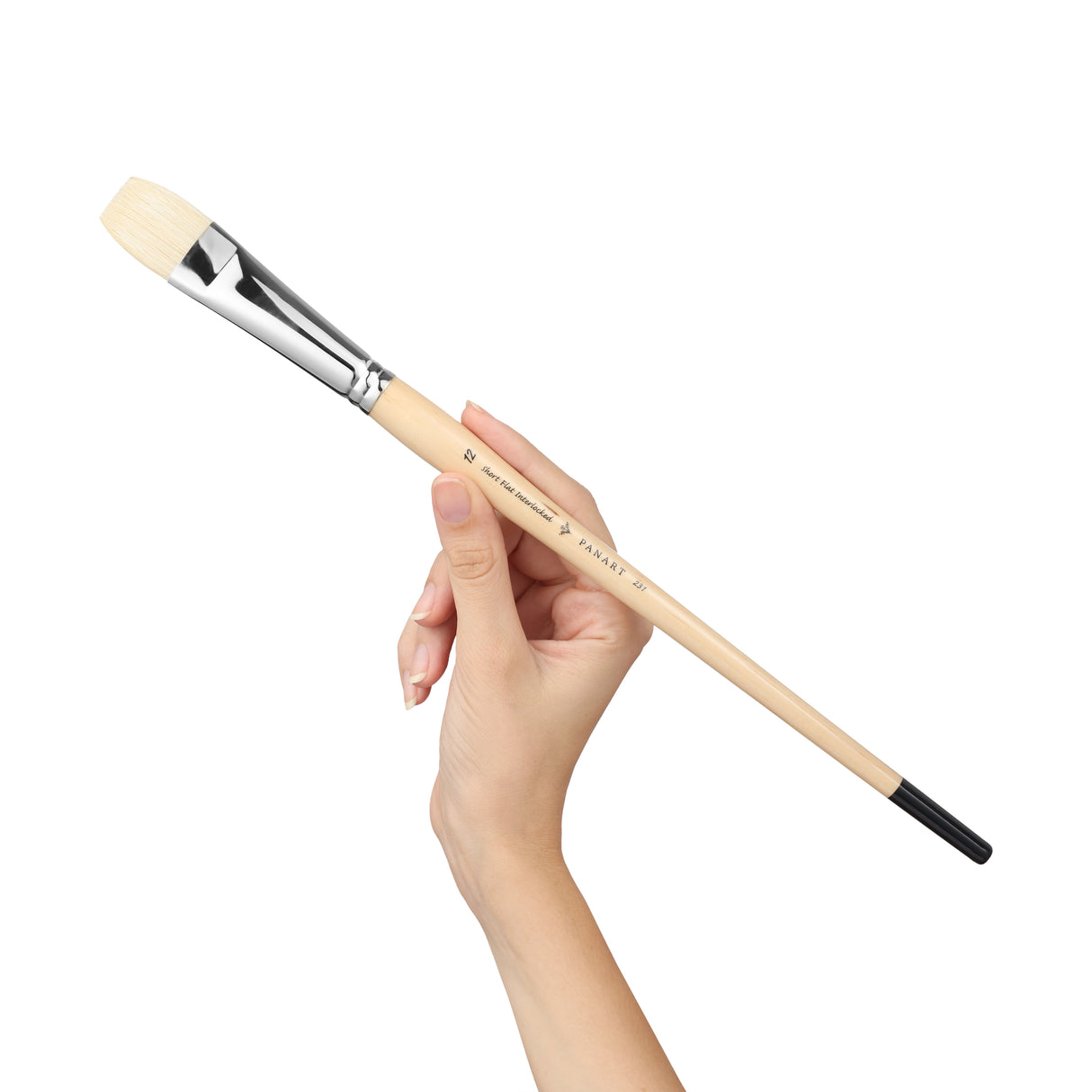 Panart White Bristle Bright Long Handle Brushes - 231