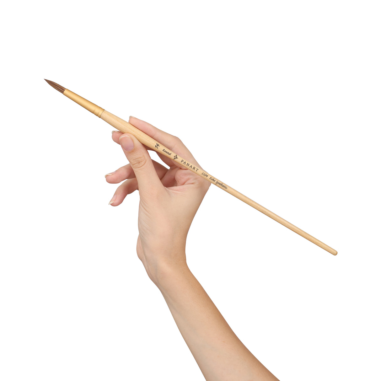 PANART ECHO SYNTHETIC ROUND LONG HANDLE BRUSH PACK OF 5 PCS (5504-14)