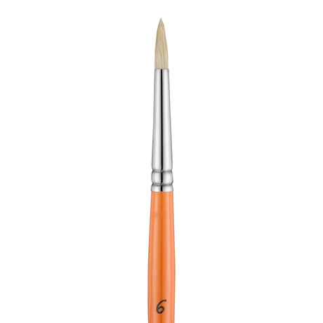 Panart Campus Bristle Round Short Handle Brushes - 5502