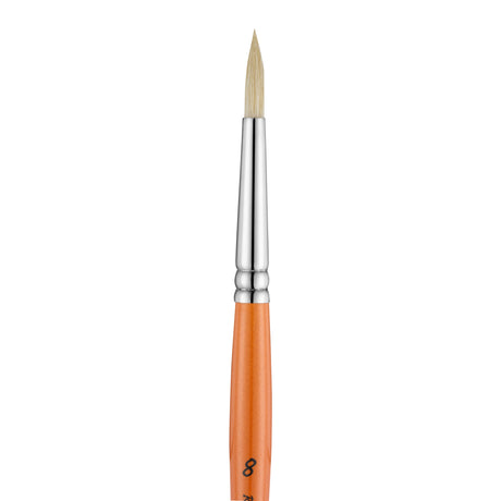 Panart Campus Bristle Round Short Handle Brushes - 5502