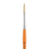 Panart Campus Bristle Round Short Handle Brushes - 5502