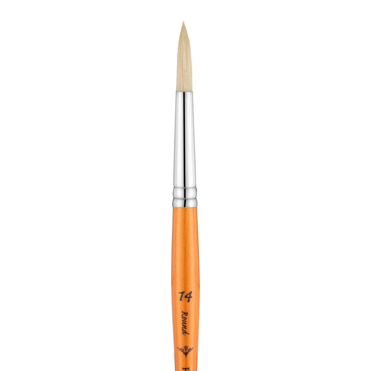 Panart Campus Bristle Round Short Handle Brushes - 5502