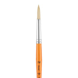Panart Campus Bristle Round Short Handle Brushes - 5502
