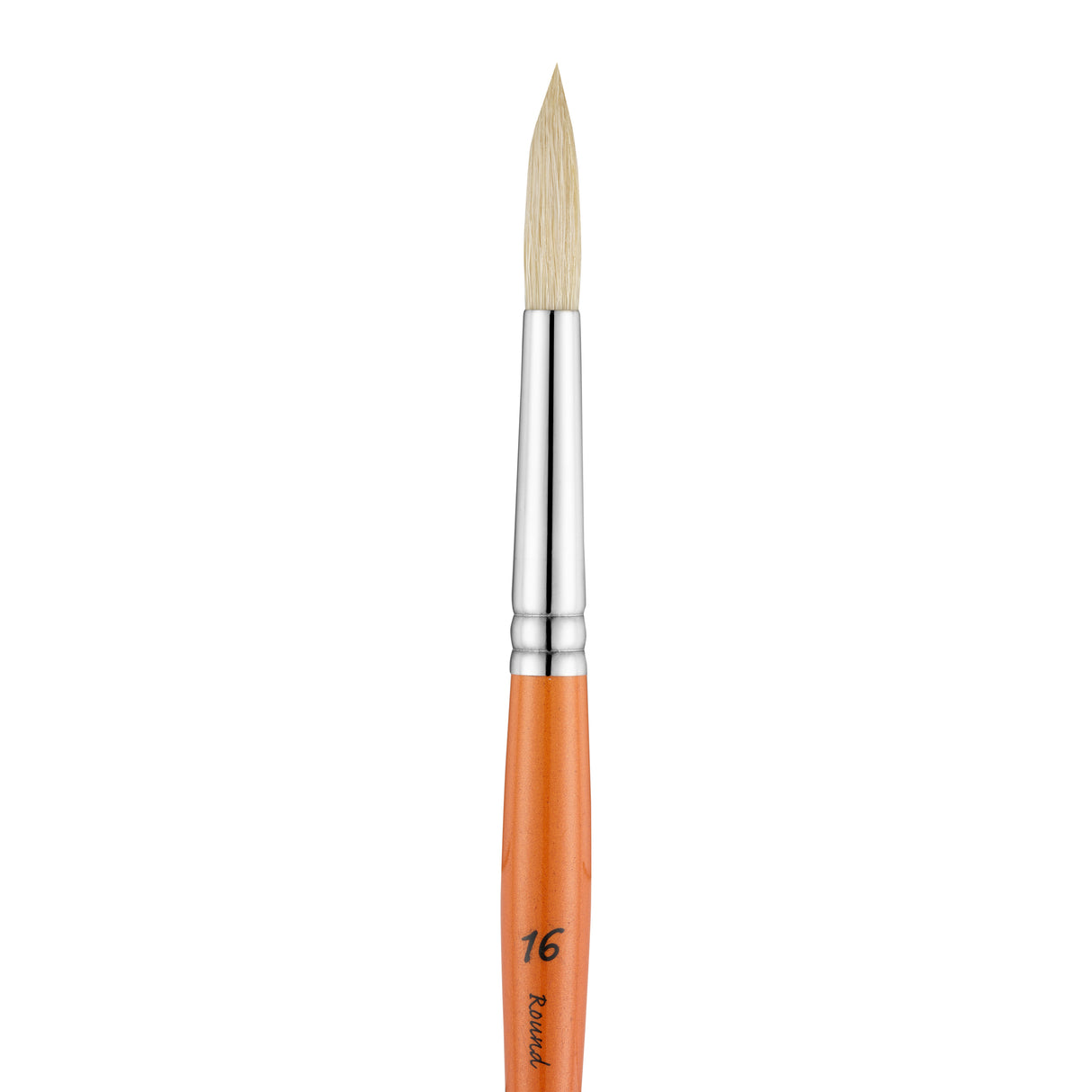 Panart Campus Bristle Round Short Handle Brushes - 5502