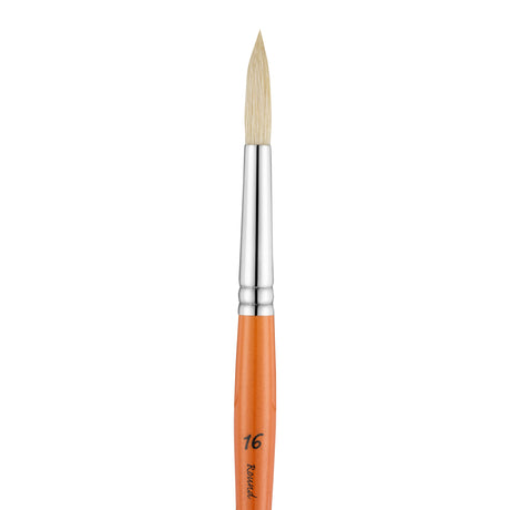Panart Campus Bristle Round Short Handle Brushes - 5502