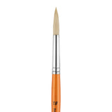 Panart Campus Bristle Round Short Handle Brushes - 5502