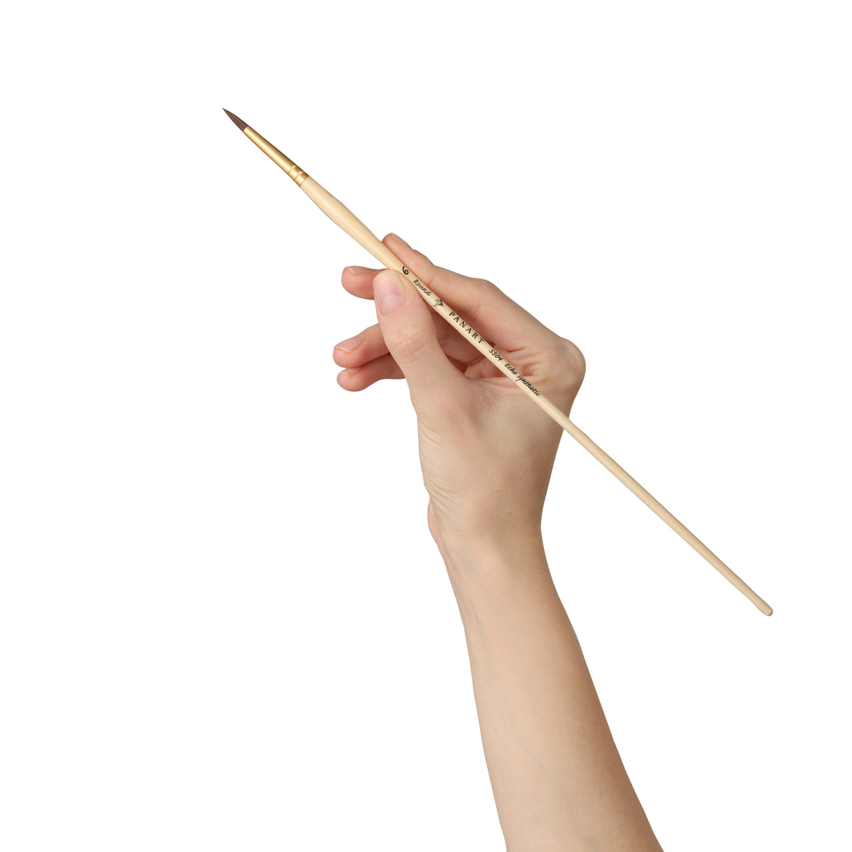 PANART ECHO SYNTHETIC ROUND LONG HANDLE BRUSH PACK OF 5 PCS (5504-6)