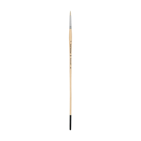 Panart white bristle round paintbrush with long wooden handle and black ferrule on white background