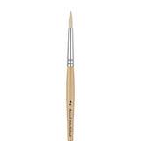 Panart white bristle round paintbrush with long wooden handle and black ferrule on white background