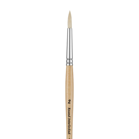 Panart white bristle round paintbrush with long wooden handle and black ferrule on white background