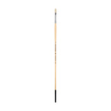 Panart White Bristle Long Handle Filbert Brushes - 221