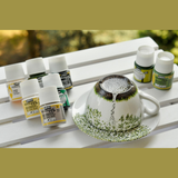 Pebeo Porcelaine 150 Exploration C2 Set – 12 x 20ml