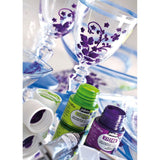 Pebeo Vitrea 160 Explorer Glossy Set – 12 x 20ml Assorted