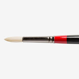 Daler Rowney Georgian Oil Round Brush - G24