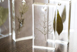 Pebeo Gedeo Crystal Resin Bio Kit
