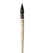 DALER ROWNEY AQUAFINE POINTED WASH AF24-6