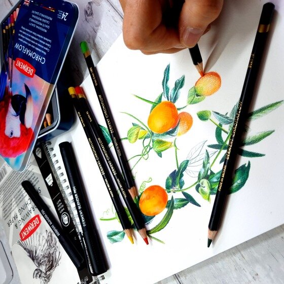 Derwent Chromaflow Pencils Tin Of 24