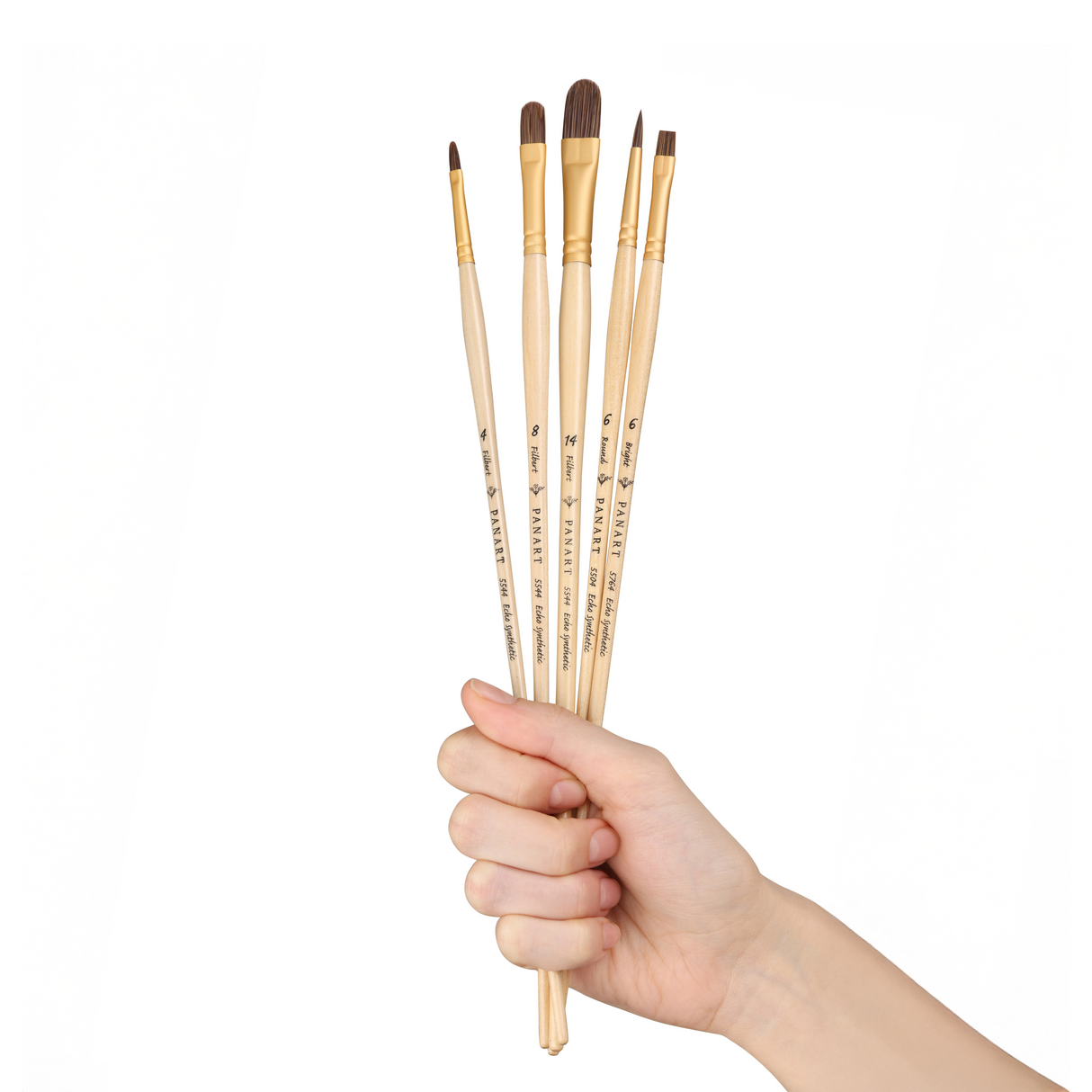 PANART ECHO SYNTHETIC LONG HANDLE BRUSH SET OF 5 PCS, ES-04(R-6 BR-6 FB-4,8,14)
